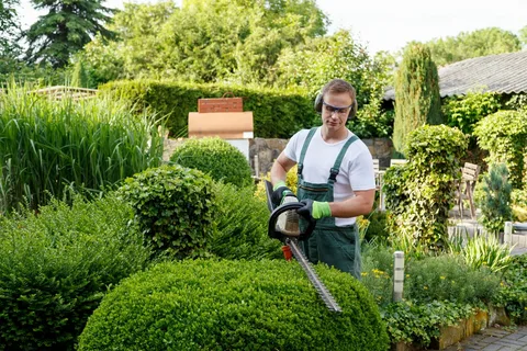 Professional Lawn Maintenance Company in Ottawa