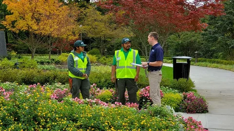 Professional Lawn Maintenance Company in Ottawa