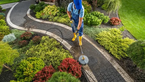 Professional Lawn Maintenance Company in Ottawa: Complete Care for Healthy Landscapes